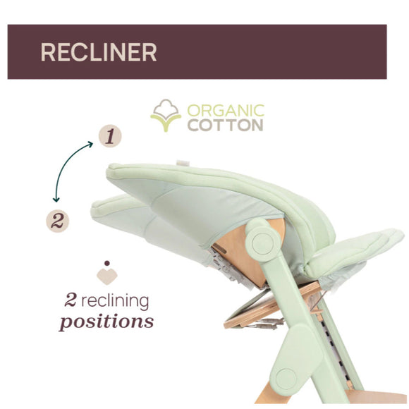 Chicco Meraviglia Highchair - From 6M+ till 110kg