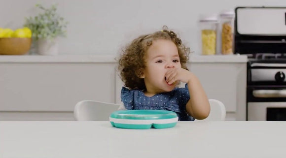 OXO Tot Divided Plate with Removable Ring