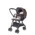 116832-DB - Dark Brown