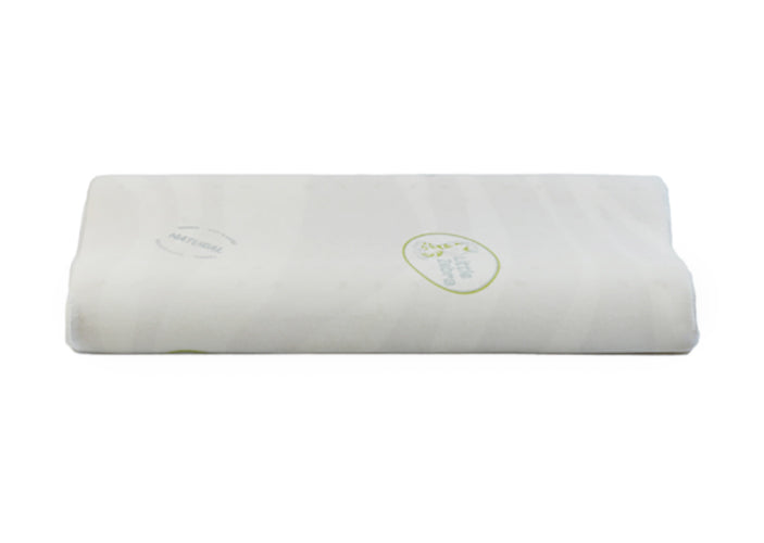 Little Zebra Big Contour Pillow - 0
