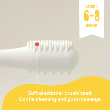 Pigeon Training Toothbrush Lesson 1 (6-8 Months) - 0