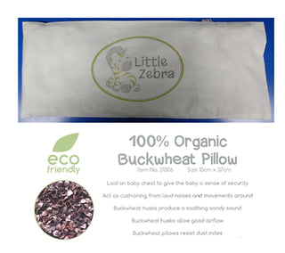 Little Zebra 100% Organic Buckwheat Husks Beanie Beanbag With Case (0-18Mths)