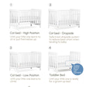 (Pre-order) [Free Installation] Australia Boori Daintree Premium Convertible Cot Bed + FREE Toddler Bed Guard - ETA Mid of May