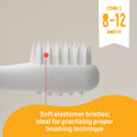 Pigeon Training Toothbrush Set (Lesson 1+2+3) (6-18 Months)