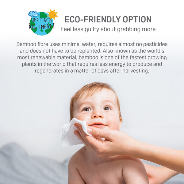 Pigeon Natural Botanical Dry Bamboo Wipes 70 Sheets(Promo)