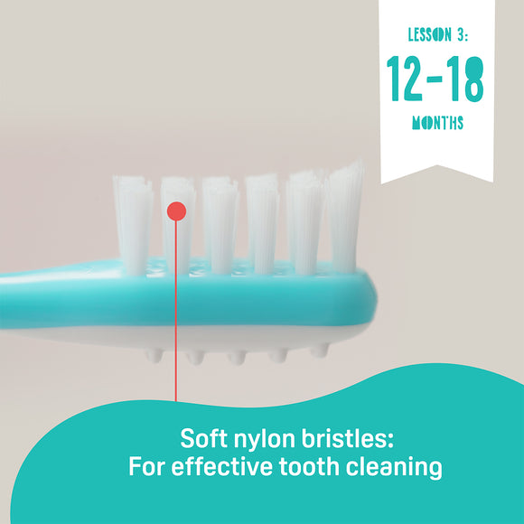 Pigeon Training Toothbrush Lesson 3 (12-18 Months)