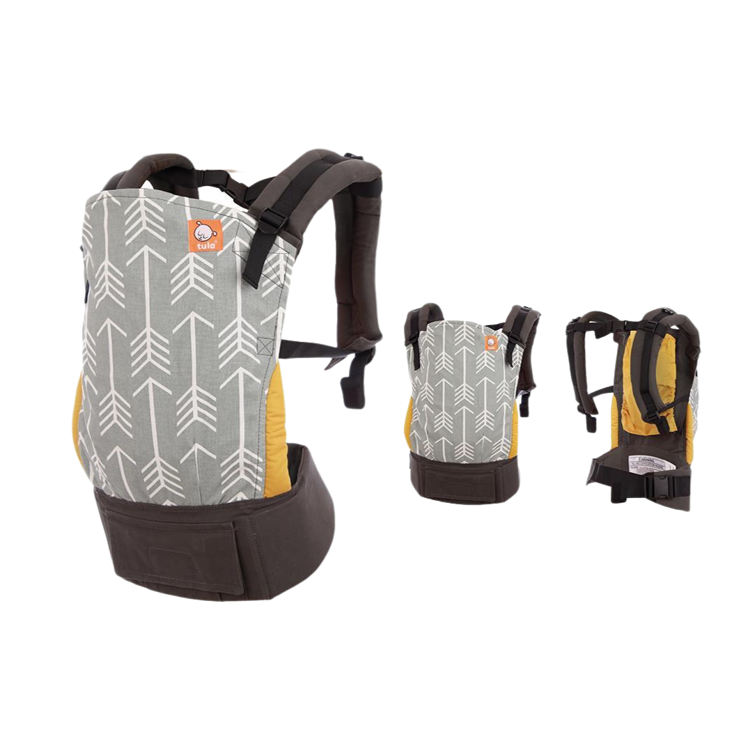 Baby Tula Standard Baby Carrier