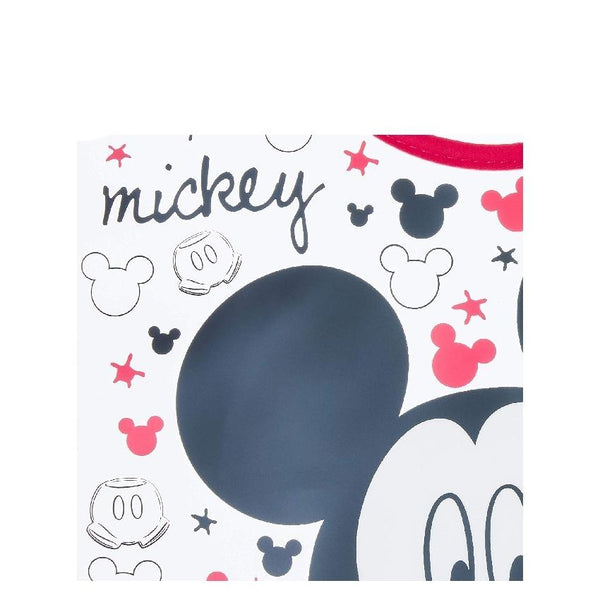 NUK Mickey Baby Bib