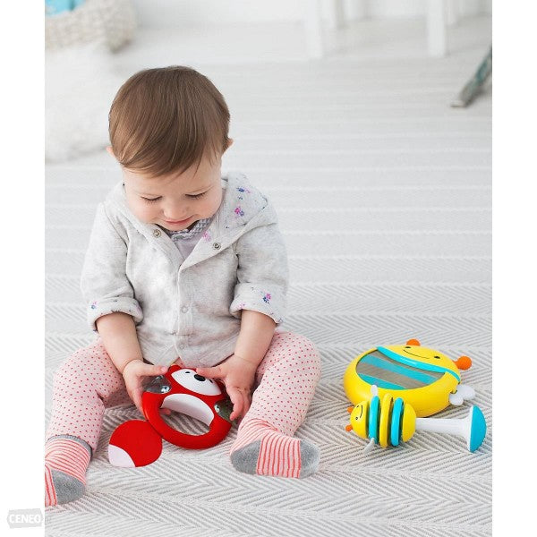 Skip Hop Explore & More Musical Instrument Set