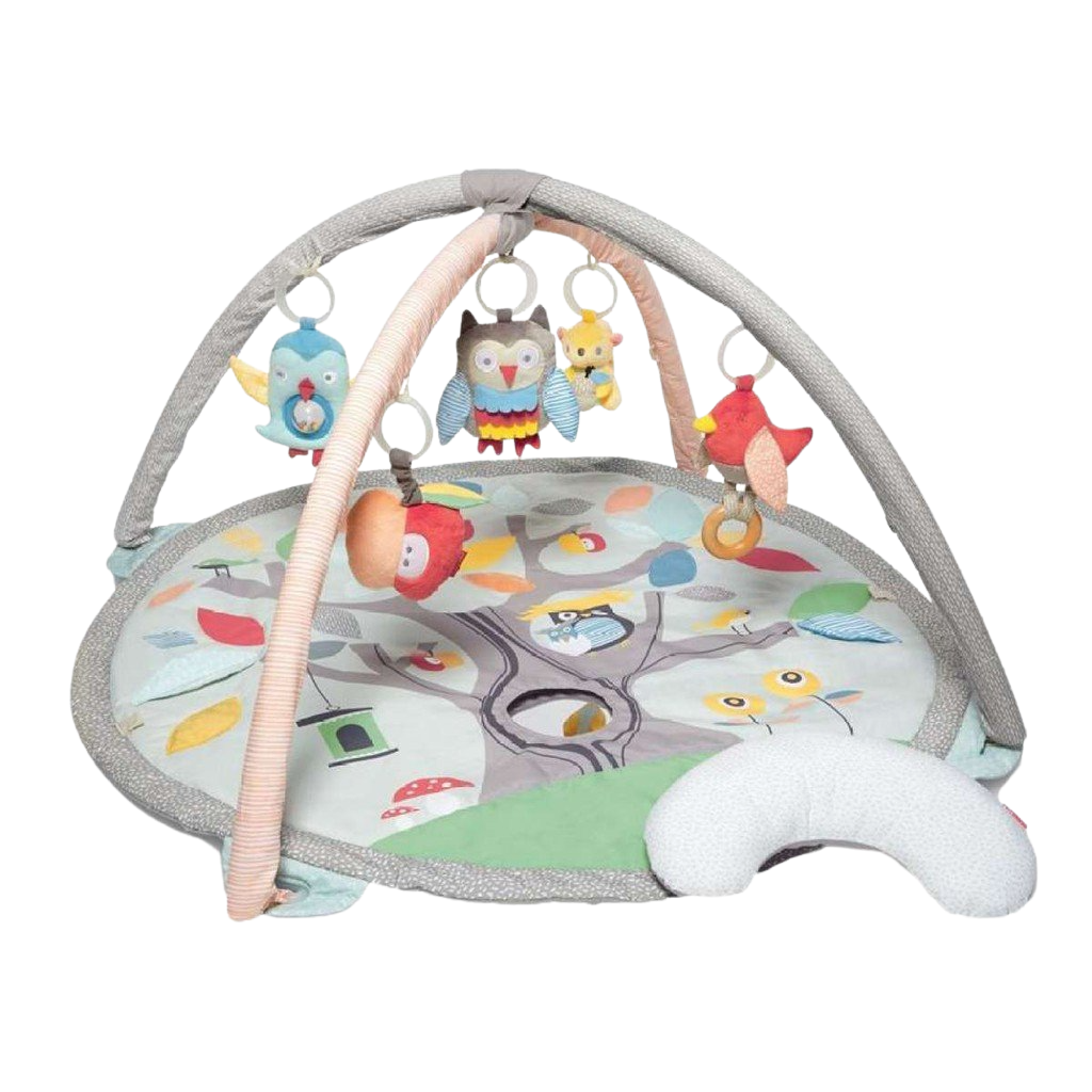 Skip Hop Treetop Friends Activity Gym