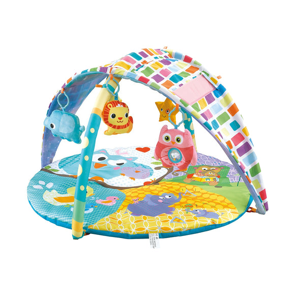 Lucky Baby 2 In 1 Sky Canopy Playgym (82cm x 82cm x 55cm)