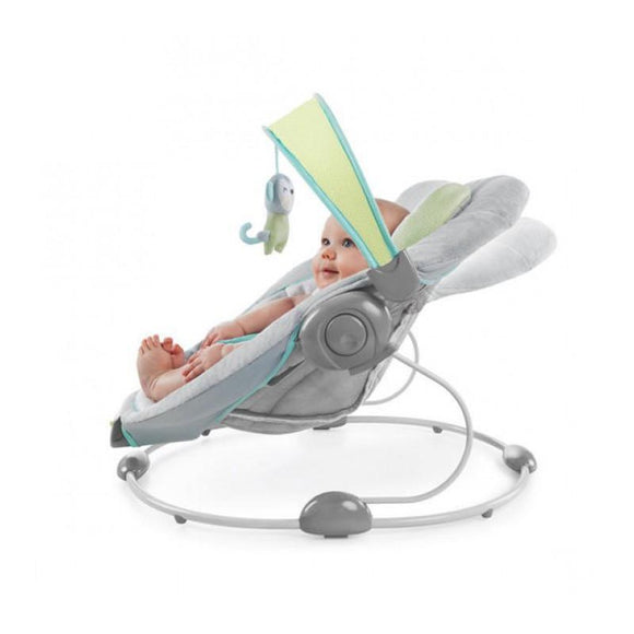 Ingenuity Soothe n Delight Bouncer - Savvy Safari