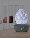 Skip Hop Terra Cry-Activated Soother-9