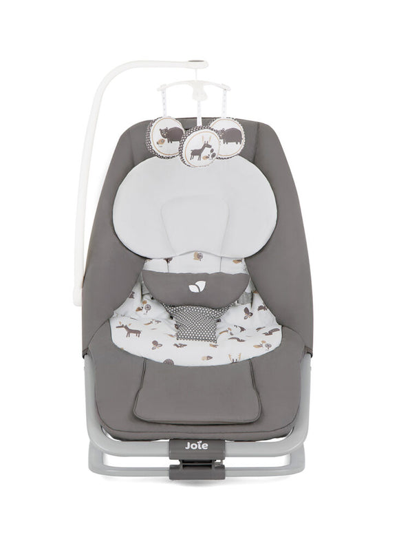 Joie Rocker Joie Dreamer Rocker and Bouncer (1 Year Warranty) | Baby Kingdom Pte Ltd