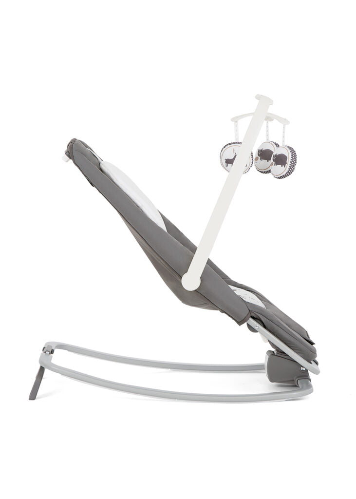 Joie Dreamer Rocker and Bouncer (1 Year Warranty)