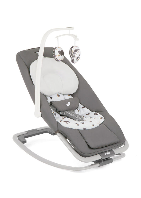 Joie Dreamer Rocker and Bouncer (1 Year Warranty)