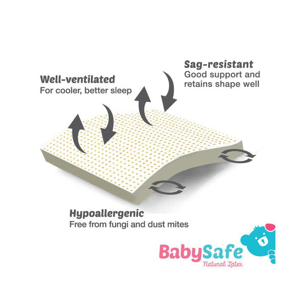 BabySafe Bambeanie Pillow with Case
