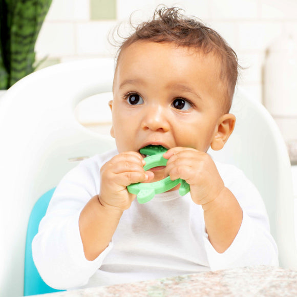 Dr Brown's Silicone Starter Spoon- Turtle