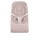 Ergobaby Evolve 3 in 1 Bouncer-33