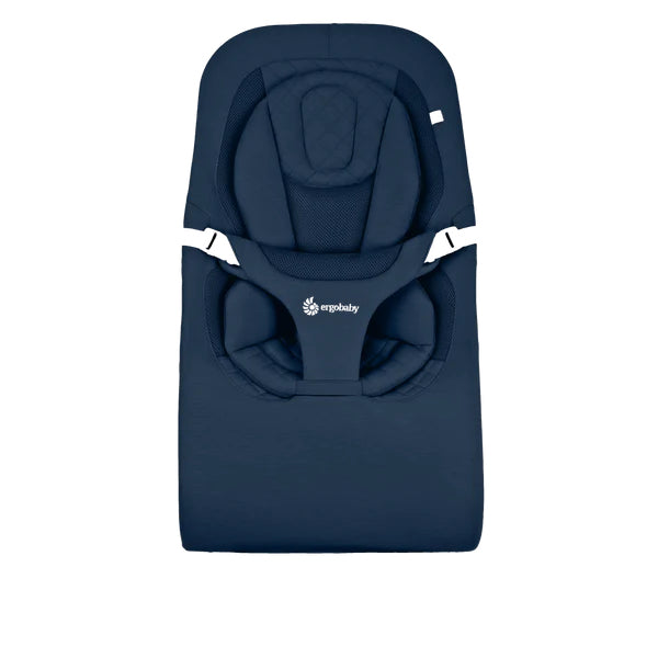 Ergobaby Evolve 3 in 1 Bouncer