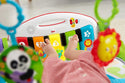 Fisher Price Kick N Play Gym Refresh GN