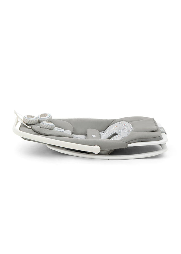 Joie Dreamer Rocker and Bouncer (1 Year Warranty)