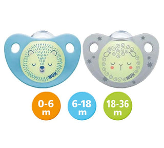 Buy hedgehog-grey NUK Night/Day Silicone Soother (2PCS/pack)