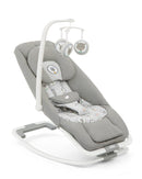 Joie Dreamer Rocker and Bouncer (1 Year Warranty)-2