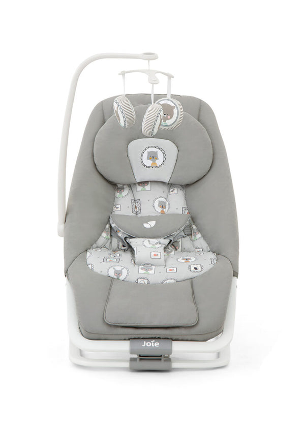 Joie Dreamer Rocker and Bouncer (1 Year Warranty)