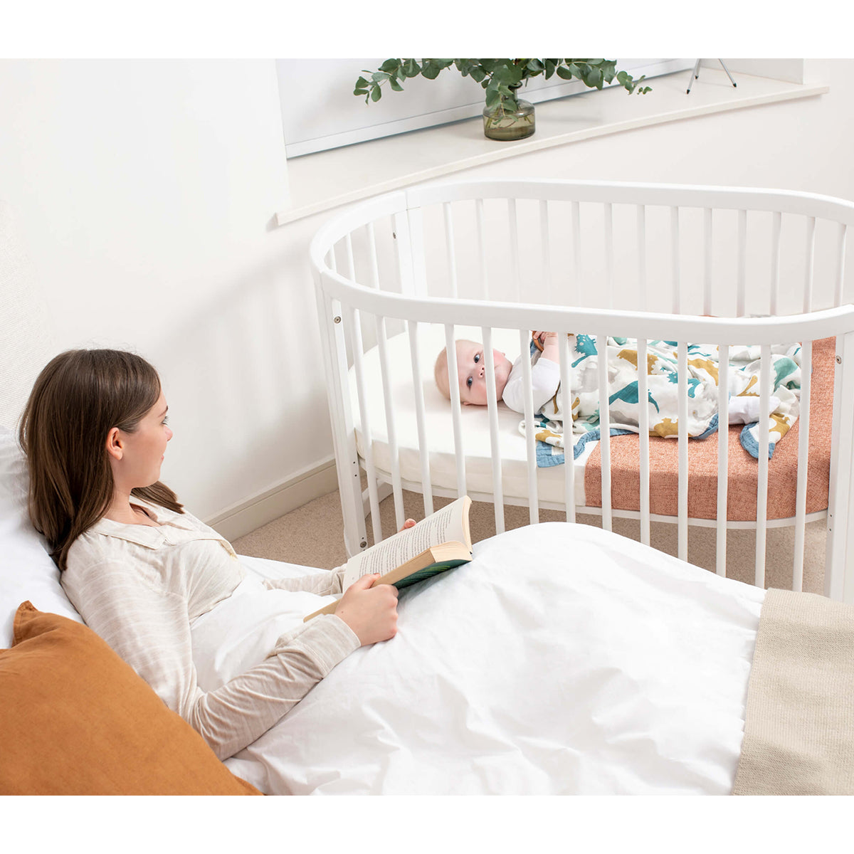 (Pre-order) Australia Boori Oasis Oval Convertible Cot + FREE Pocket Spring Mattress - ETA End Oct