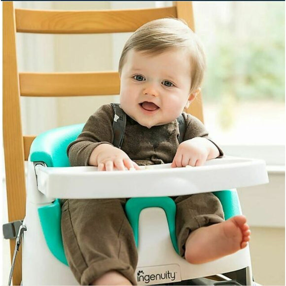 Ingenuity Baby Base 2 in 1 Seat