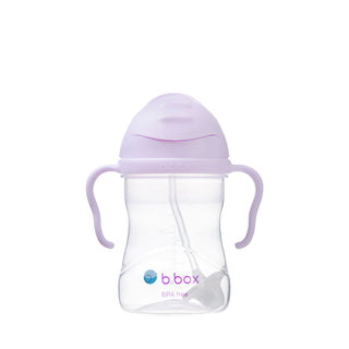 Buy boysenberry b.box Sippy cup 240ml