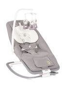 Joie Dreamer Rocker and Bouncer (1 Year Warranty)-4