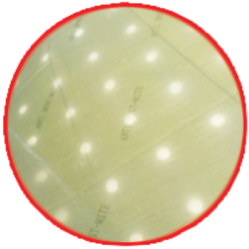 Babydreams Foam Anti-Dustmite w/holes Mattress 23"x 43"x3" - 0