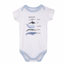 Hudson Baby 3pcs Bodysuit Short Sleeve Set (0-3m/3-6m/6-9m/9-12m)-29