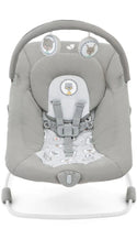 Joie Wish Bouncer (Portrait) (1 Year Warranty)