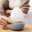 Skip Hop Terra Cry-Activated Soother-2