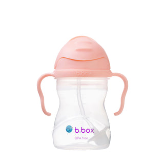 Buy tutti-frutti b.box Sippy cup 240ml